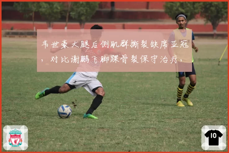 韦世豪大腿后侧肌群撕裂缺席亚冠,对比谢鹏飞脚踝骨裂保守治疗,边路尖刀复出时间各异
