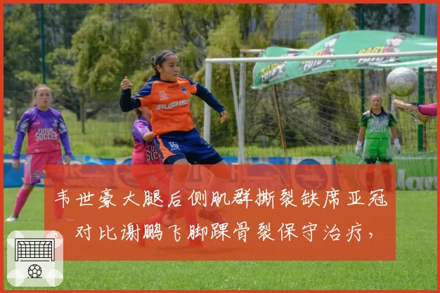 韦世豪大腿后侧肌群撕裂缺席亚冠,对比谢鹏飞脚踝骨裂保守治疗,边路尖刀复出时间各异